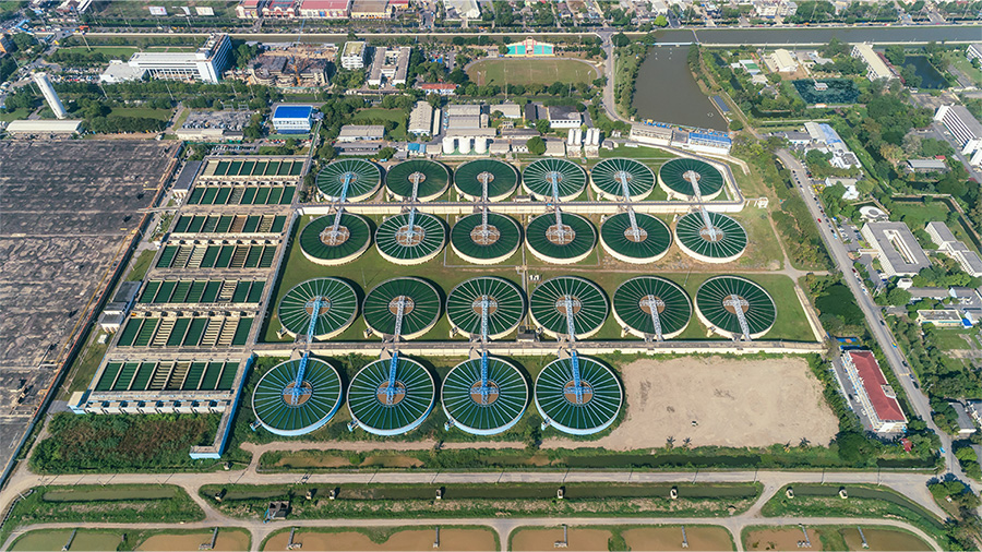 An aerial image of livestock in a field shows an AI model identifying animals with some highlighted pink and others in blue