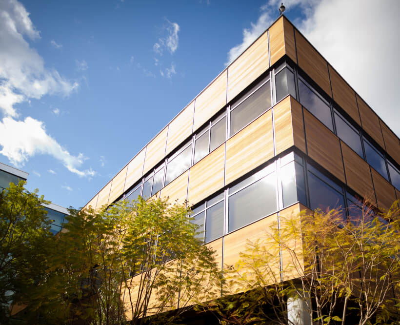 A large tree-lined modern office building in light wood and glass soaring against a blue sky