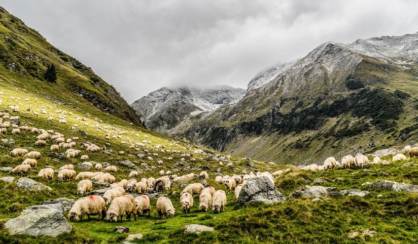 Glaciar Perito Moreno.