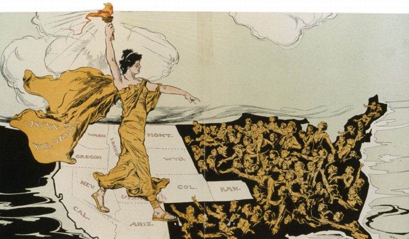 Pingüinos en su hábitat natural.