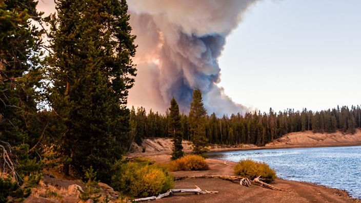 Una gran columna de humo de un incendio forestal se eleva tras los árboles y un lago