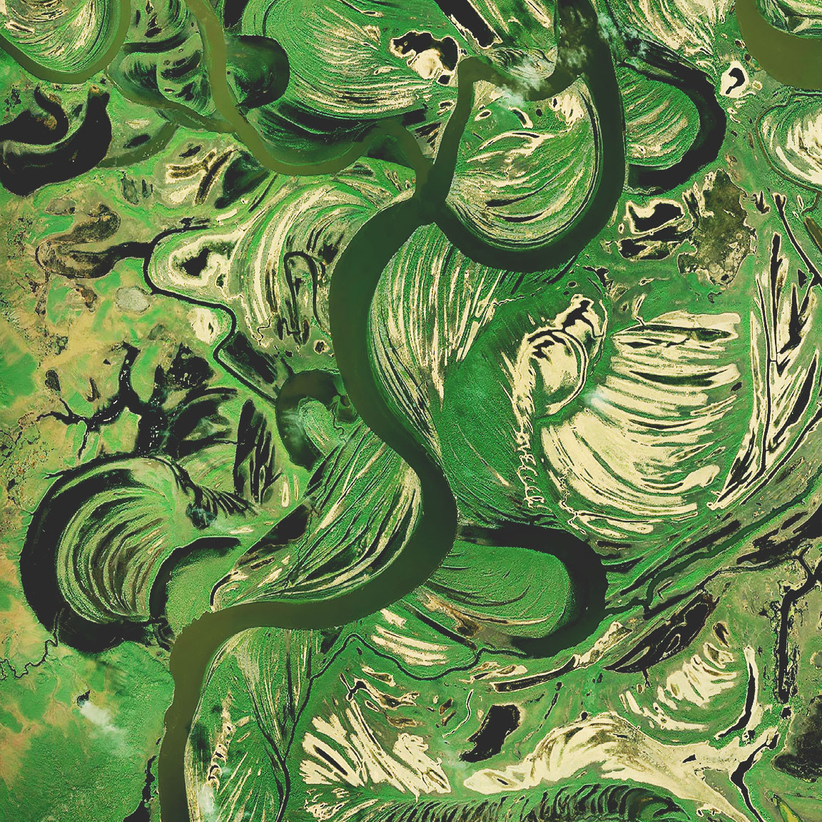 Las imágenes satelitales de humedales muestran un río verde oscuro que serpentea por marismas marrones y verdes brillantes