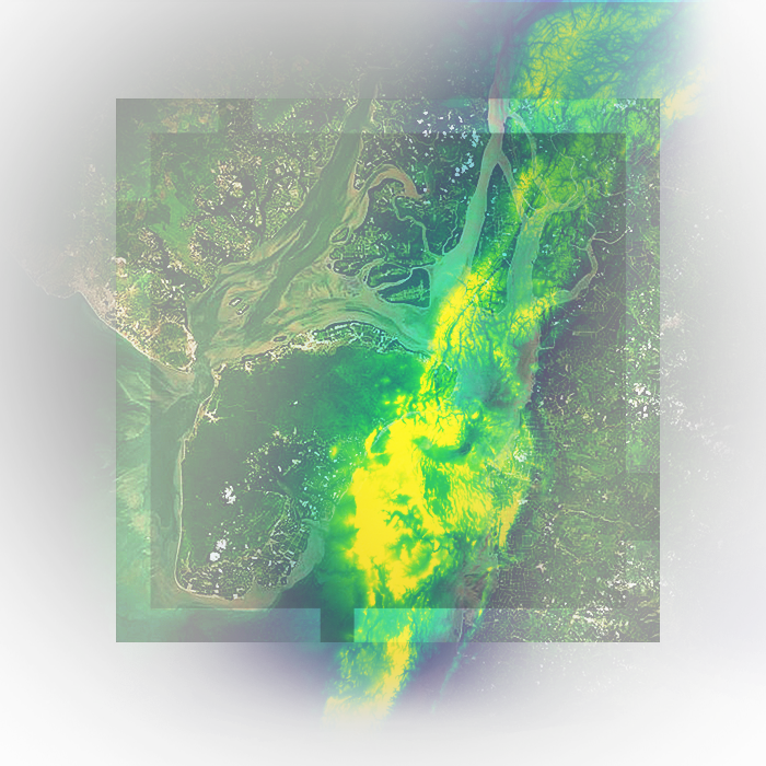 Imagen de satélite de un río que se dirige a la costa con datos del terreno resaltados en tonos de verde y amarillo