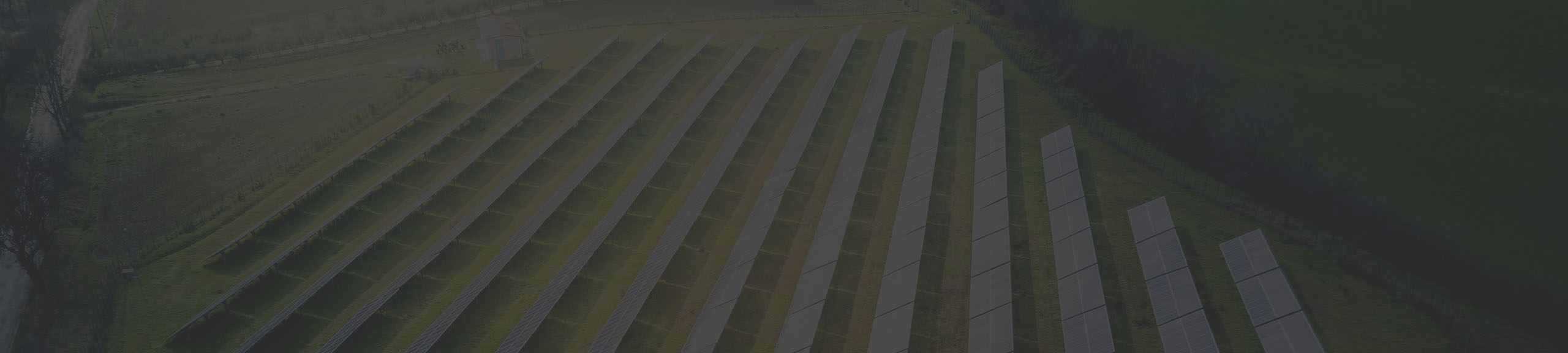 Un gran campo verde con hileras de paneles solares cuadrados y plateados