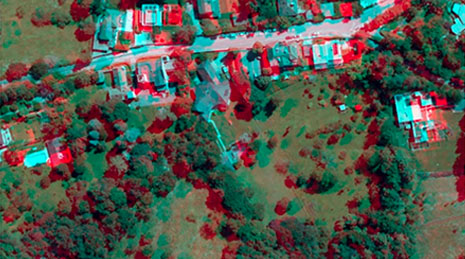 Imagen aérea en 3D de un barrio rural con terreno verde y árboles