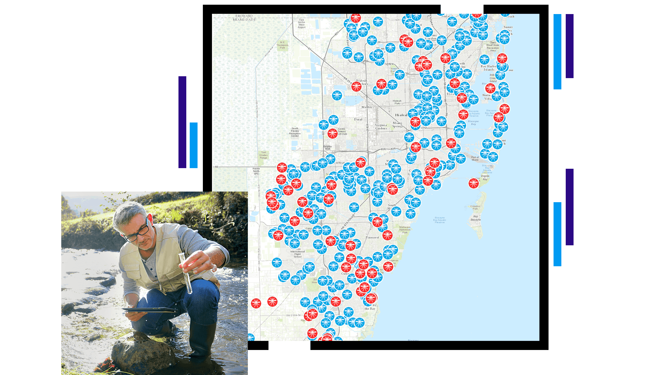 Mapa con puntos de datos rojos y azules que muestran las infestaciones de mosquitos y un inspector con una muestra de agua extraída de un río.
