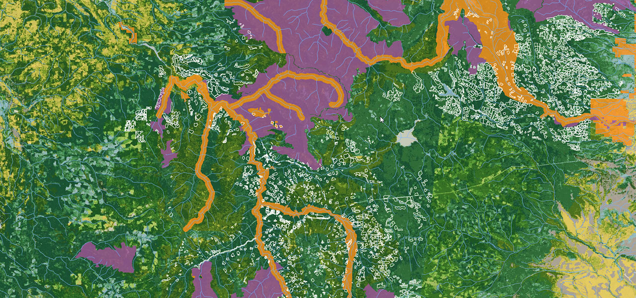 Un mapa forestal en verde con rutas y entidades detalladas en blanco, naranja y morado