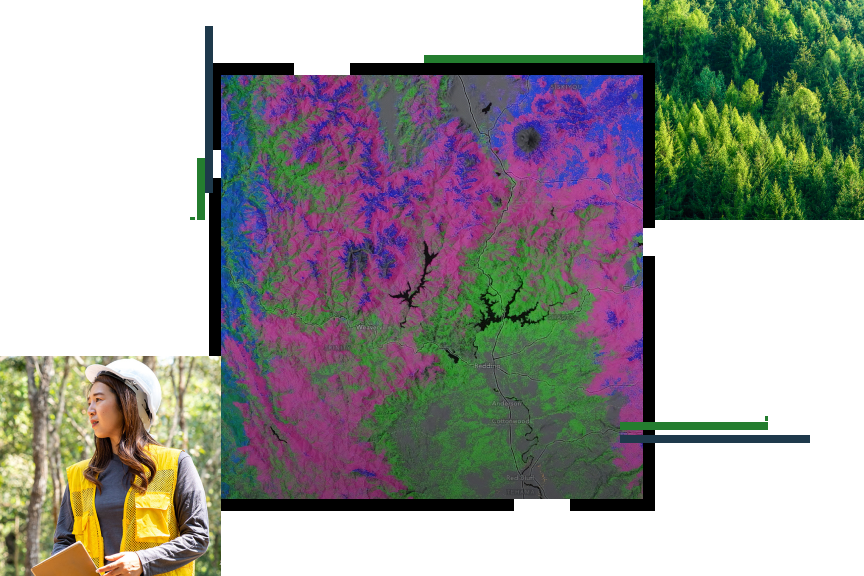 Un mapa de contorno en azul brillante, verde y rosa, una persona con un chaleco amarillo y un casco de pie en un bosque, y copas de árboles verdes iluminadas por el sol