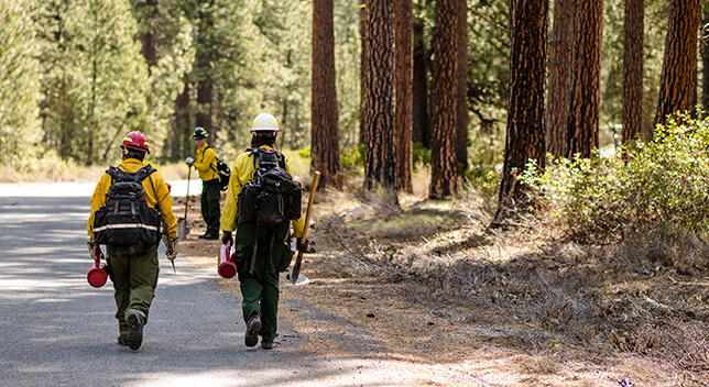 Una foto de tres guardabosques andando por una senda forestal soleada con chaquetas amarillas y cascos