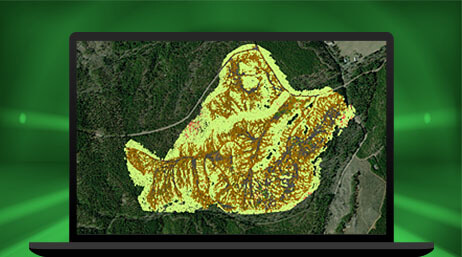 Imagen de la pantalla de un portátil que muestra un mapa de contorno de un bosque verde oscuro con un área asimétrica resaltada en amarillo
