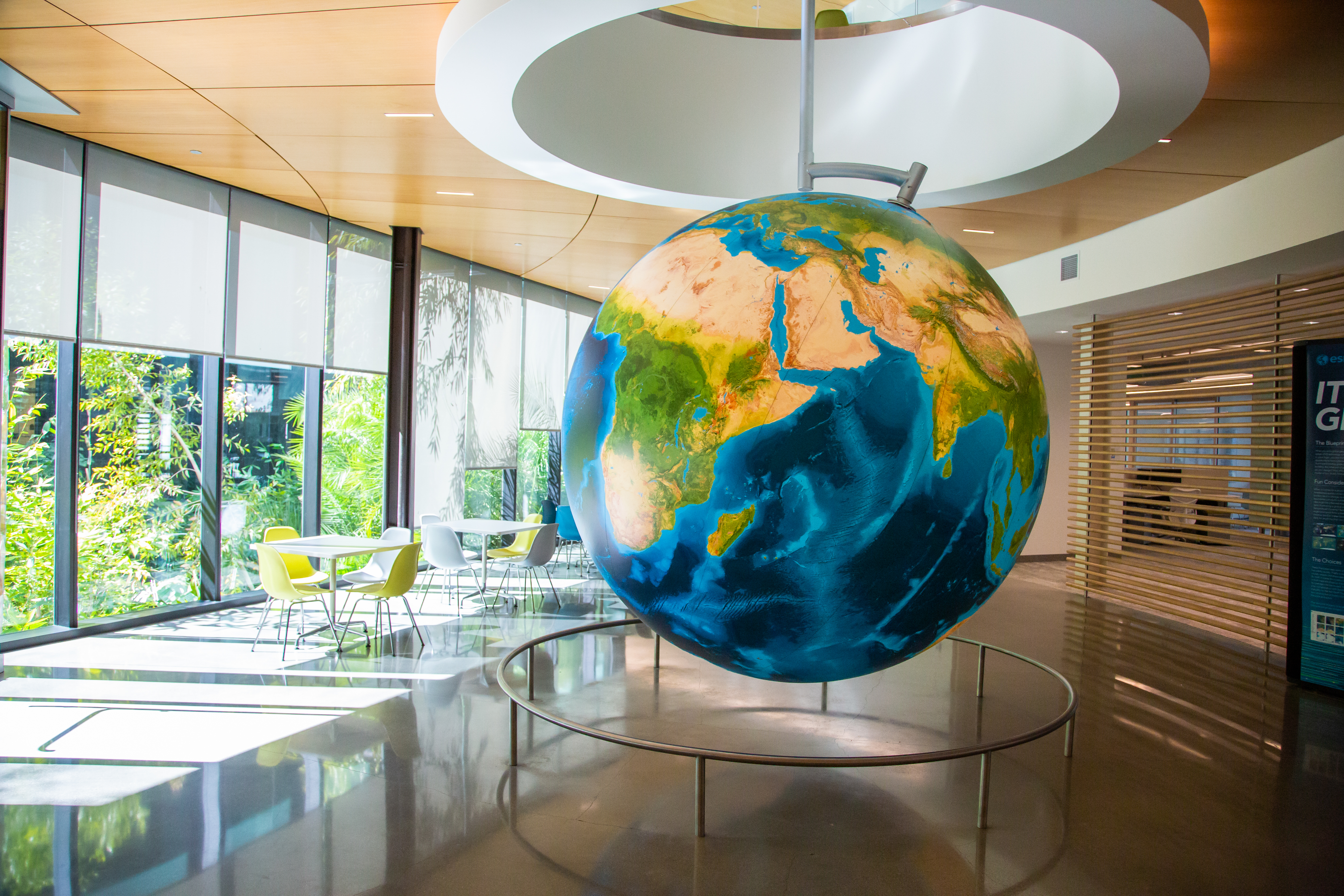 A large tree-lined modern office building in light wood and glass soaring against a blue sky